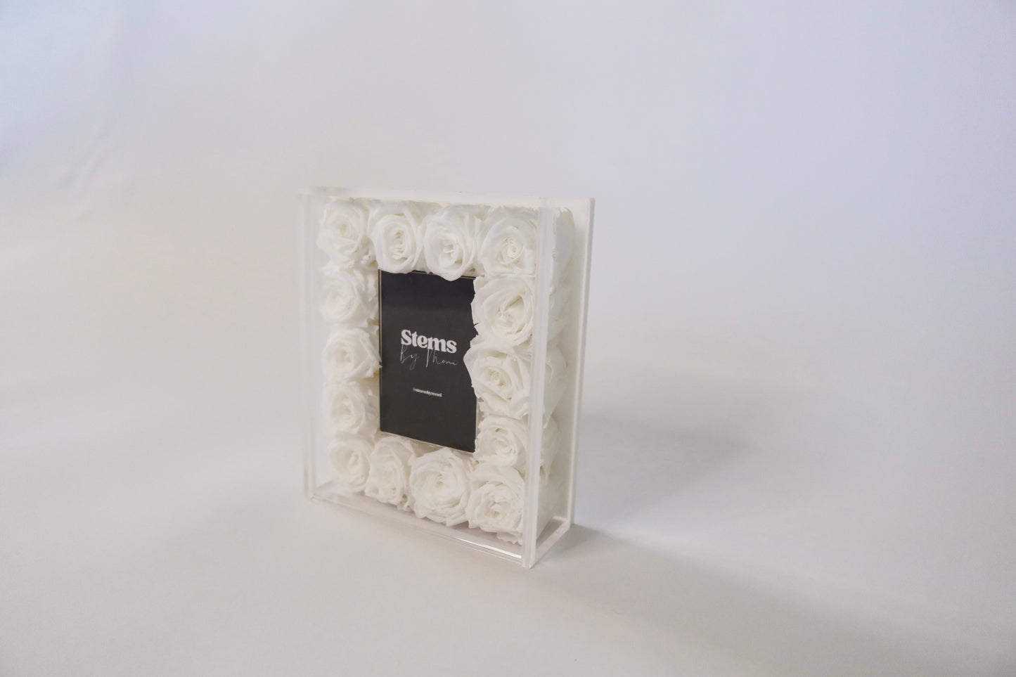 STEMS Signature Mini Frame