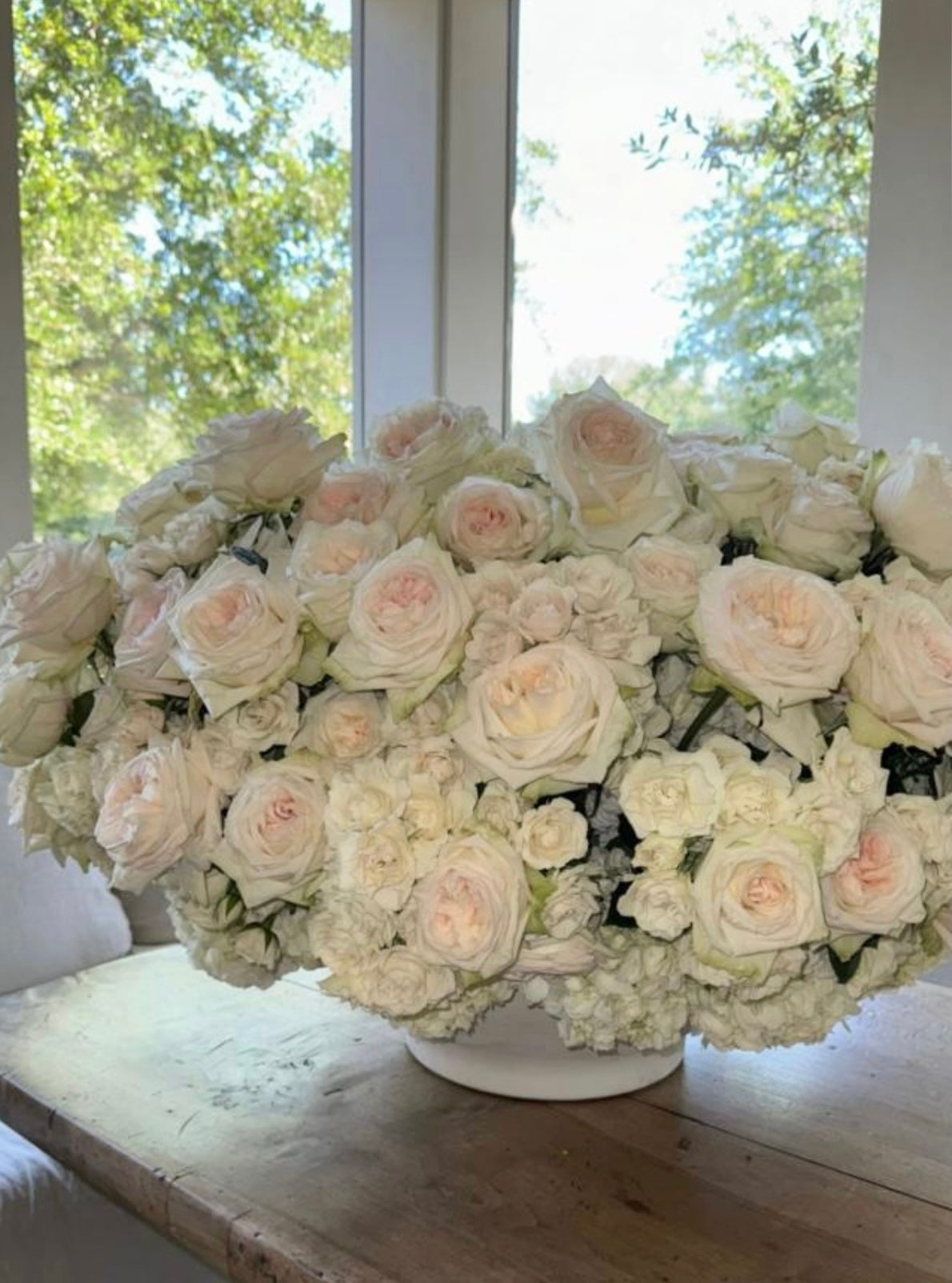 STEMS Signature Monthly Subscription