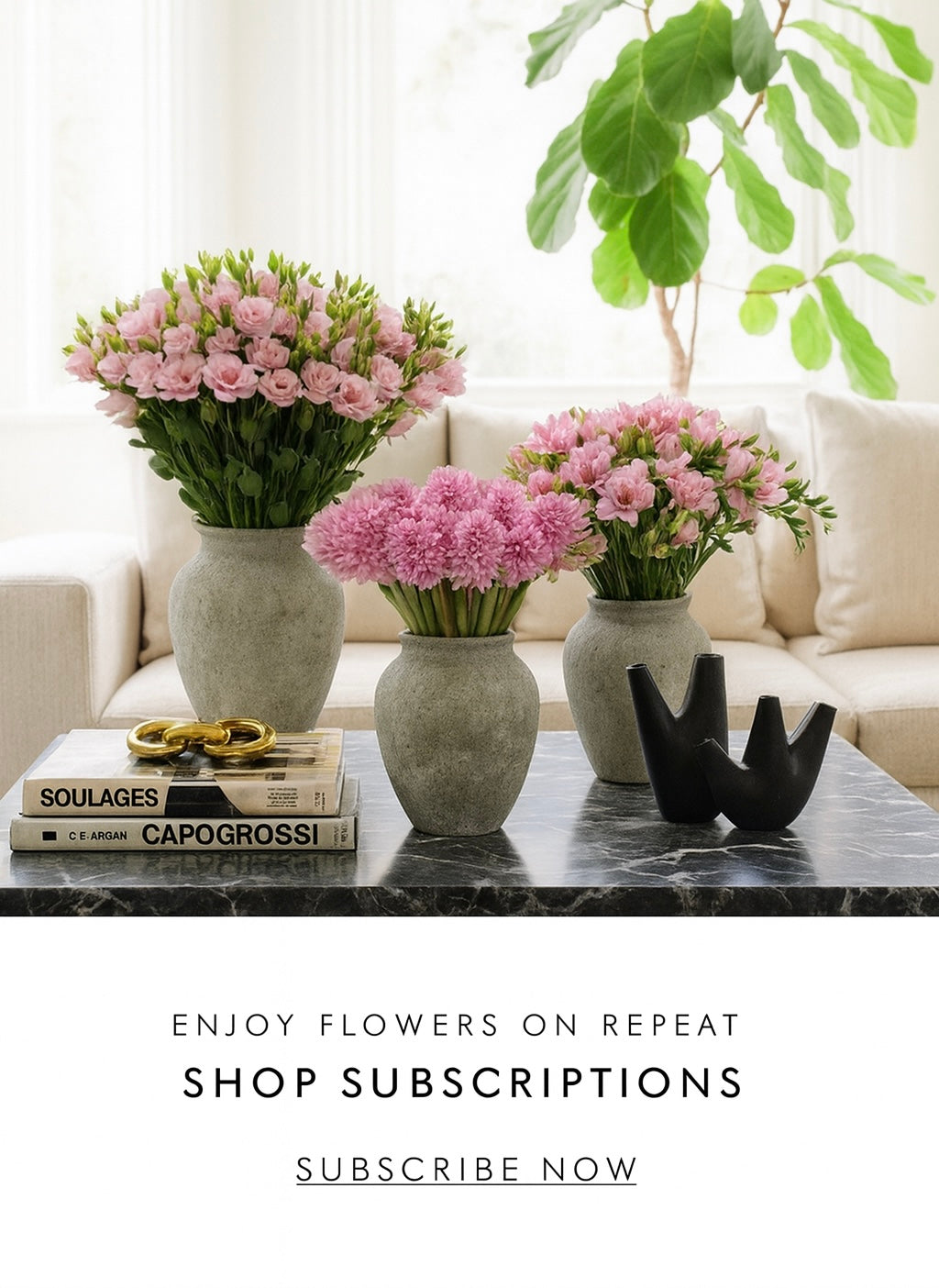 STEMS Signature Monthly Subscription