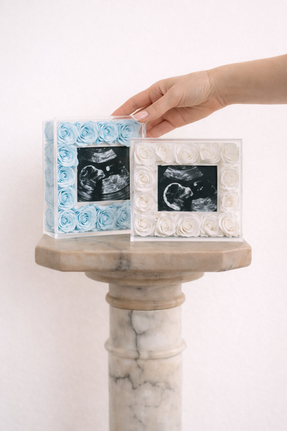 STEMS Signature Mini Frame