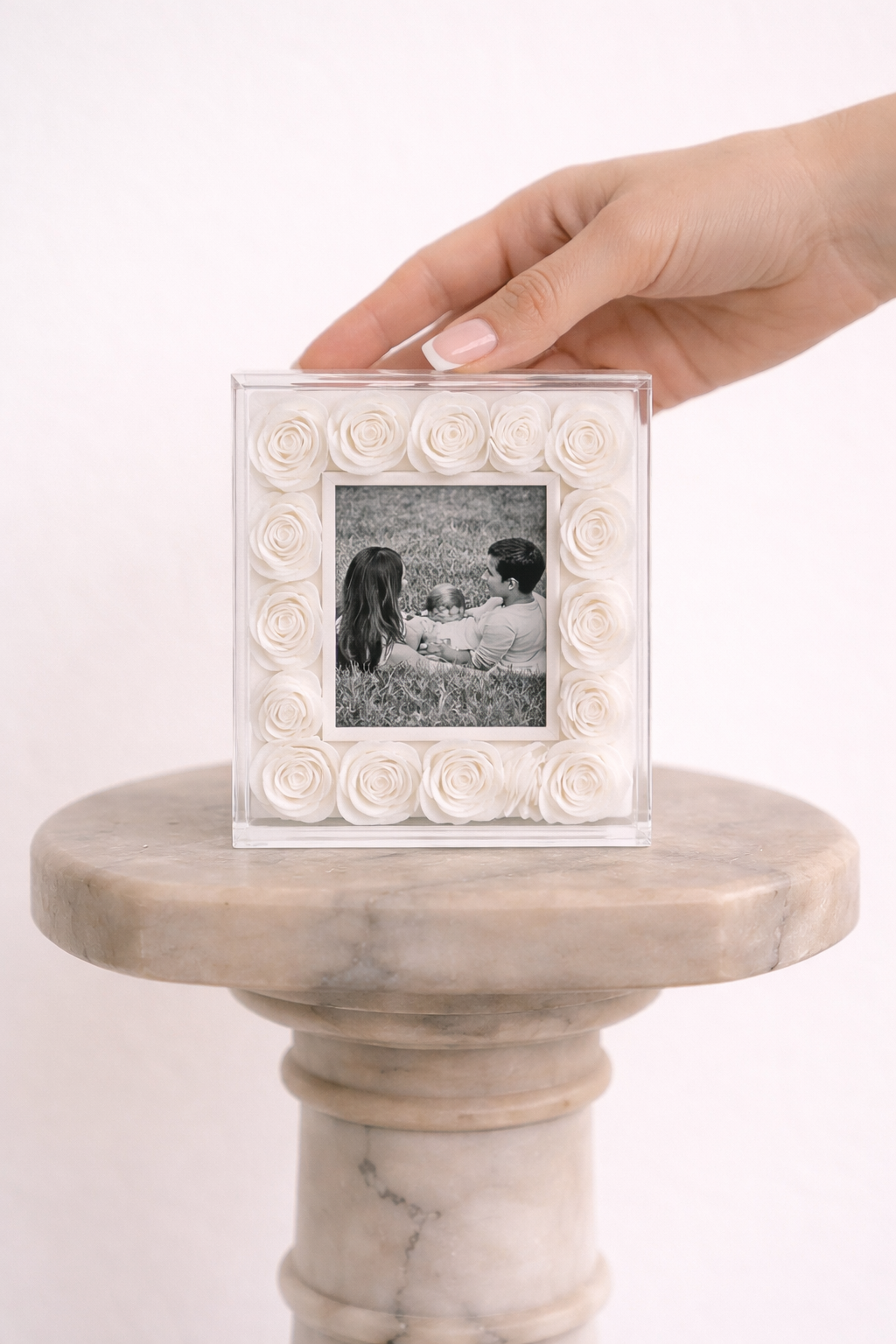 STEMS Signature Mini Frame